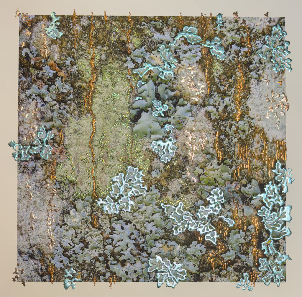 Pari Aazami: Finding the Extraordinary in the Overlooked