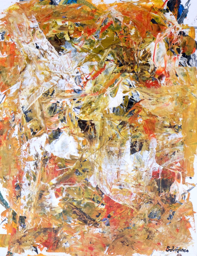 Richard Solstjärna: Exploring Consciousness, Energy, and the Invisible Forces of Nature